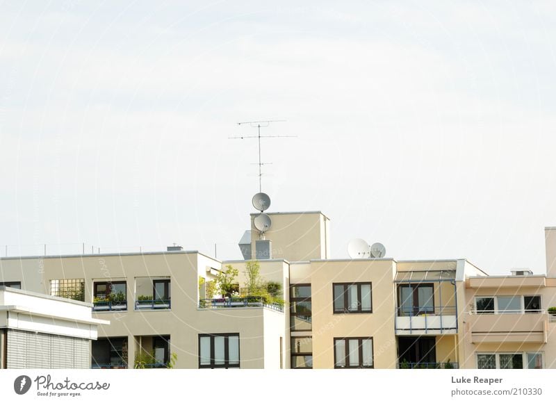 Die Dächer von München Himmel Sommer Pflanze bevölkert Gebäude Architektur Terrasse Dach Stein blau weiß Farbfoto Außenaufnahme Tag Balkonpflanze Antenne