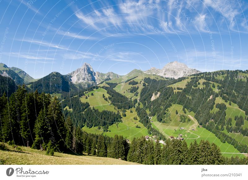 Heimat! Freizeit & Hobby Ferien & Urlaub & Reisen Ausflug Freiheit Sommer Sommerurlaub Berge u. Gebirge Umwelt Natur Landschaft Pflanze Himmel Wald Hügel Alpen