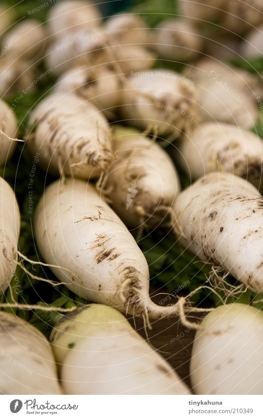 Rettich Lebensmittel Gemüse Bioprodukte Vegetarische Ernährung Marktplatz wählen verkaufen einfach frisch Gesundheit gut lecker viele grün weiß Qualität