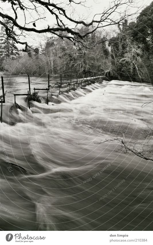 cong river Umwelt Wasser Sträucher Wald Flussufer congriver cong co.mayo Nordirland Brücke groß wild schwarz weiß Verfall analog Schwarzweißfoto Außenaufnahme