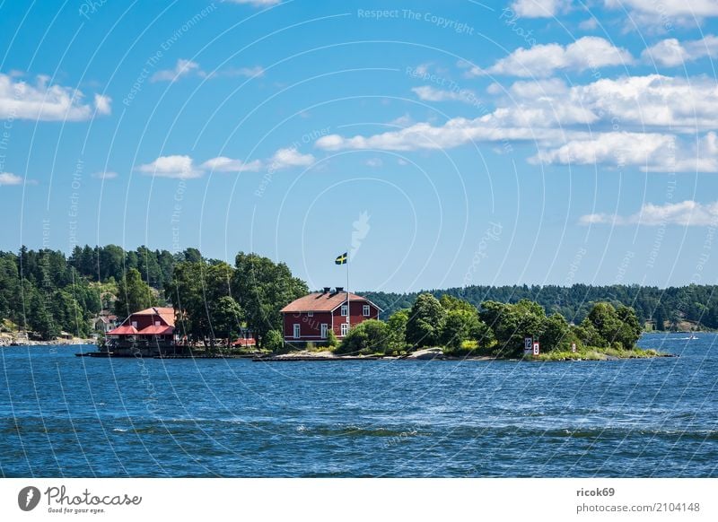 Schärengarten an der schwedischen Ostseeküste vor Stockholm Erholung Ferien & Urlaub & Reisen Tourismus Insel Haus Natur Landschaft Wolken Baum Wald Küste