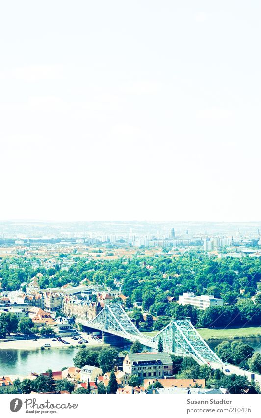 Blaues Wunder Stadtrand Skyline Haus Brücke Sehenswürdigkeit Wahrzeichen historisch Blasewitz Dresden Sachsen Sightseeing Weißer Hirsch Baum grün Elbe