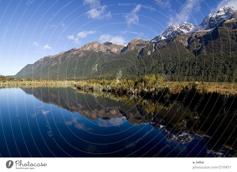 twins Landschaft Urelemente Wasser Wolken Sonne Herbst Pflanze Alpen Berge u. Gebirge Gipfel Schneebedeckte Gipfel Seeufer außergewöhnlich glänzend schön