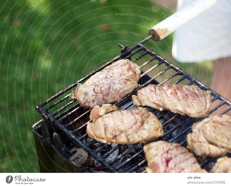 Medium Lebensmittel Fleisch Steak Grillfleisch Ernährung maskulin 1 Mensch Grillkohle Grillrost lecker saftig grün Grillen Grillsaison roh Farbfoto