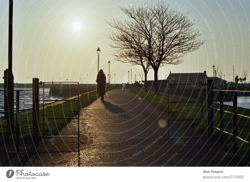 das wetter von morgen Ausflug Mensch 1 Wolkenloser Himmel Sonne Sonnenlicht Herbst Winter Wetter Schönes Wetter Baum Bucht Galway Republik Irland Hafenstadt