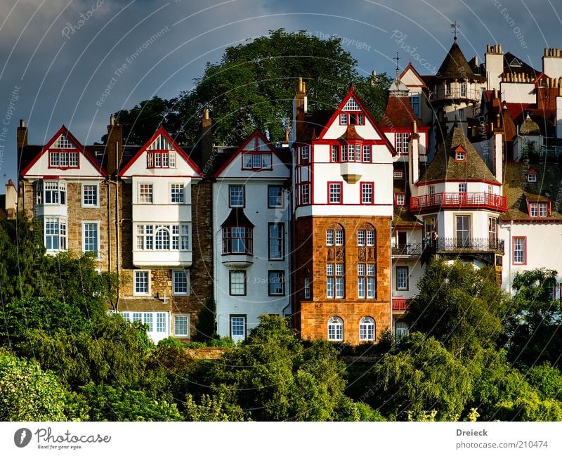 baumhaus Häusliches Leben Haus Natur Sonnenlicht Schönes Wetter Baum Hügel Edinburgh Schottland Europa Stadt Hauptstadt Stadtzentrum Traumhaus Bauwerk Gebäude