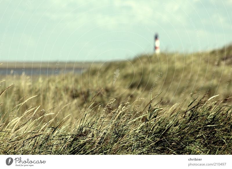 Küstenschutz Natur Landschaft Sommer Gras Strandhafer Dünengras Bucht Nordsee Insel Meer Schifffahrt Leuchtturm Leuchtfeuer leuchten Unendlichkeit blau grün