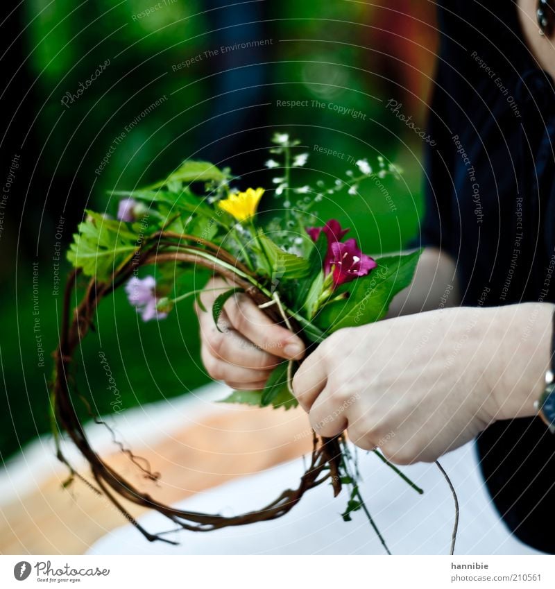 bekränzung Basteln Mensch Frau Erwachsene Hand Blume Blüte Duft natürlich braun gelb grün Freude Lebensfreude Blumenkranz binden biegen Pflanze Blatt Sommer