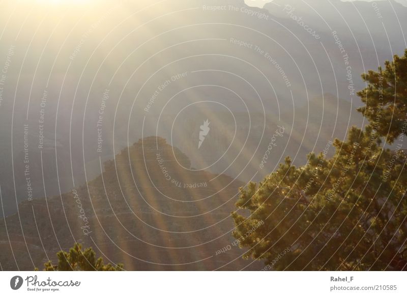 break through Landschaft Sonne Sonnenlicht Schönes Wetter Baum Felsen Gipfel Schlucht leuchten träumen authentisch positiv gelb grün Optimismus Hoffnung