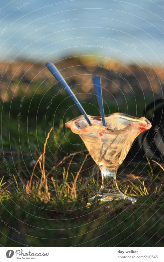 Like ice in the sunshine Speiseeis Picknick Glas Löffel Natur Landschaft Wasser Sommer Schönes Wetter Gras blau braun gelb grün Farbfoto mehrfarbig