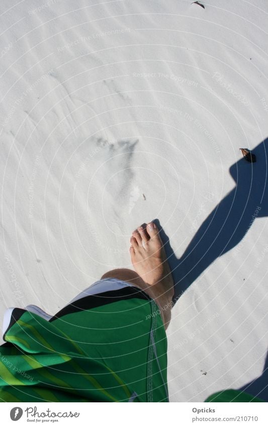 whitehaven beach Mensch maskulin Beine Fuß 1 Natur Urelemente Sand Sommer Strand Wüste gehen laufen wandern ästhetisch Glück Unendlichkeit heiß dünn