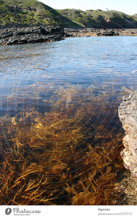 tiefer blick Umwelt Natur Landschaft Pflanze Urelemente Wasser Sommer Schönes Wetter Küste Bucht Meer Menschenleer frisch Gelassenheit ruhig standhaft