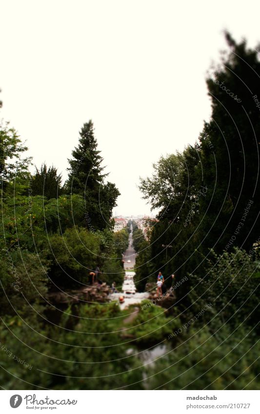 The Kreuzberg Ferien & Urlaub & Reisen Ausflug Ferne Freiheit Sightseeing Städtereise Umwelt Natur Landschaft Pflanze Wasser Himmel Baum Bach Stimmung