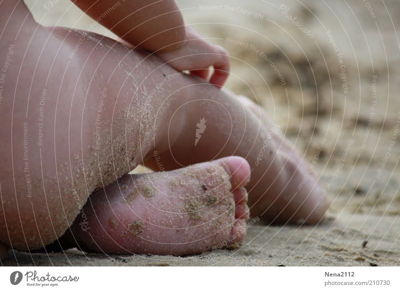 See, Sand & Sonne... Freude Körper Ferien & Urlaub & Reisen Sommer Sommerurlaub Sonnenbad Strand Kind Kleinkind Mädchen Kindheit Leben Arme Hand Gesäß Beine Fuß