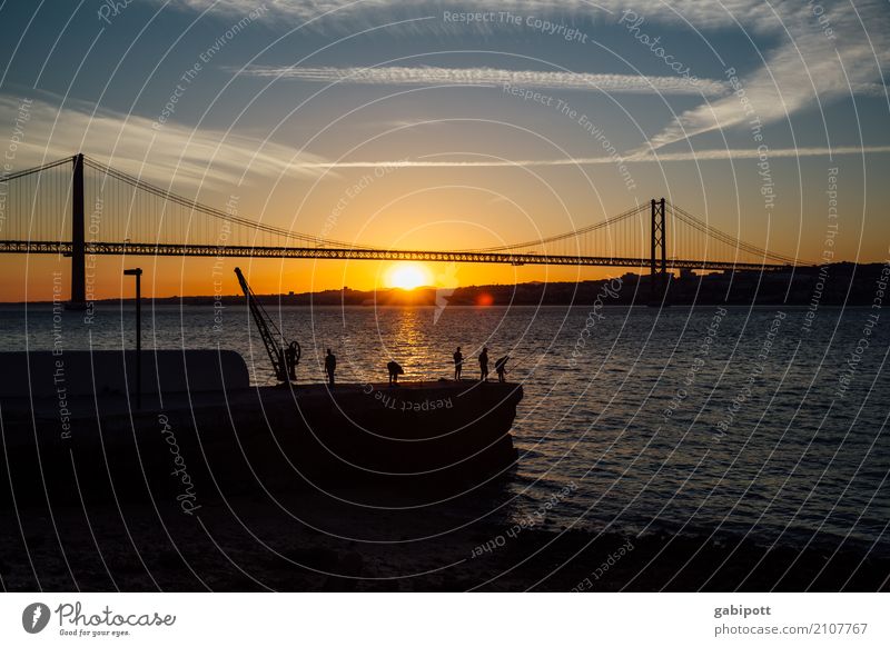 Schönen Brückentag! Sommer Sommerurlaub Strand Meer Leben Menschengruppe Landschaft Himmel Wolken Horizont Sonnenaufgang Sonnenuntergang Sonnenlicht