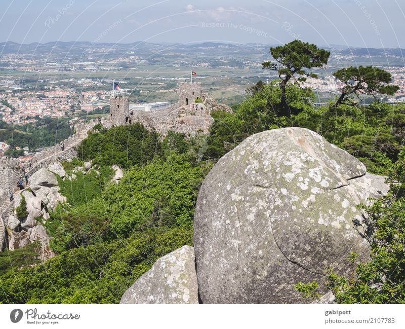 Sintra - die andere Seite Erholung ruhig Meditation Ferien & Urlaub & Reisen Tourismus Ausflug Ferne Sightseeing Sommer Umwelt Natur Landschaft Schönes Wetter