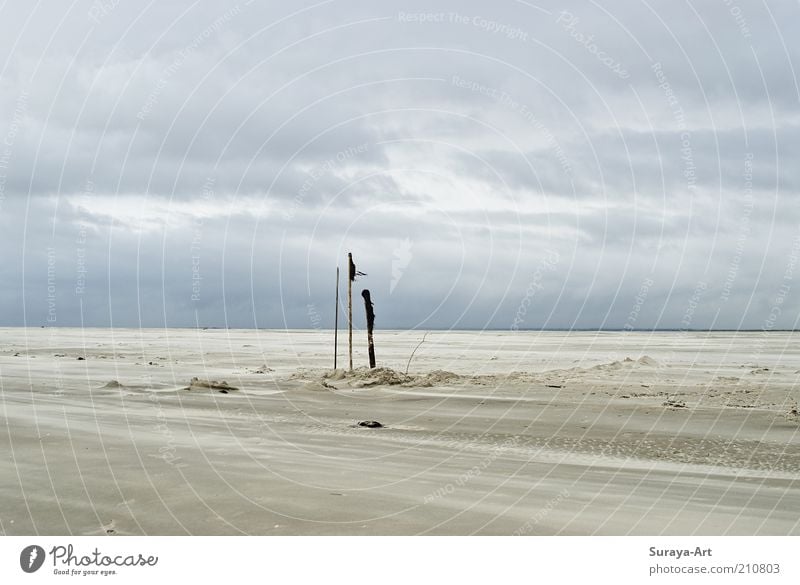 Seelenweite Ferien & Urlaub & Reisen Tourismus Ausflug Ferne Sommerurlaub Strand Insel Natur Landschaft Sand Himmel Wolken Wind Nordsee Unendlichkeit natürlich