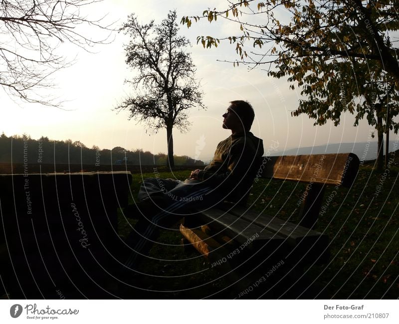 Entspanntes Warten harmonisch Zufriedenheit Erholung ruhig Meditation Ferne Garten maskulin Junger Mann Jugendliche 1 Mensch 18-30 Jahre Erwachsene Landschaft