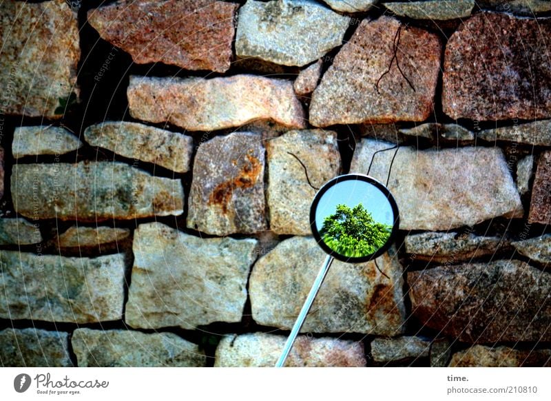 Insight Outside Spiegel Baum Mauer Wand Kleinmotorrad Stein Metall dick groß grün Perspektive geschichtet Rückspiegel Klotz alternativ Verschiedenheit Furche