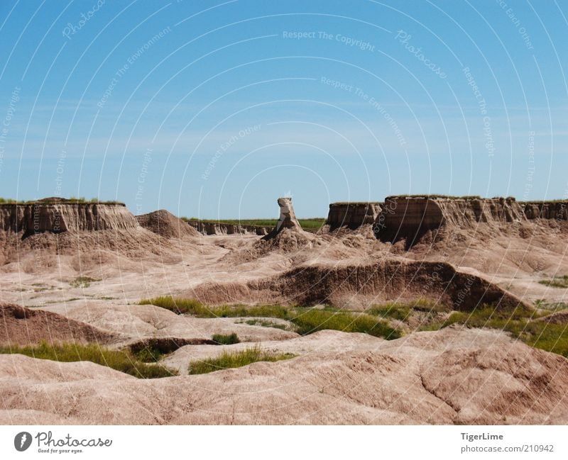 Ödland Stierjagd Umwelt Natur Landschaft Erde Sand Luft Wolkenloser Himmel Sonnenlicht Sommer Schönes Wetter Wärme Dürre Gras Felsen Schlucht Ferne