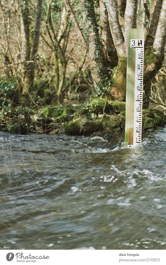 steigend Messinstrument Maßband Wasserstand Wissenschaften Umwelt Frühling Herbst Klimawandel Baum Sträucher Urwald Flussufer Bach congriver cong co.mayo