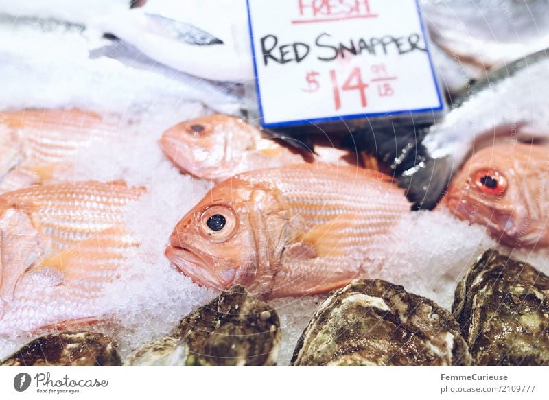 Roadtrip West Coast USA (242) Tier genießen Fischmarkt Markttag Englisch Rote Schnapper Raubfisch Fischverkäufer Preisschild Eis US-Dollar Farbfoto