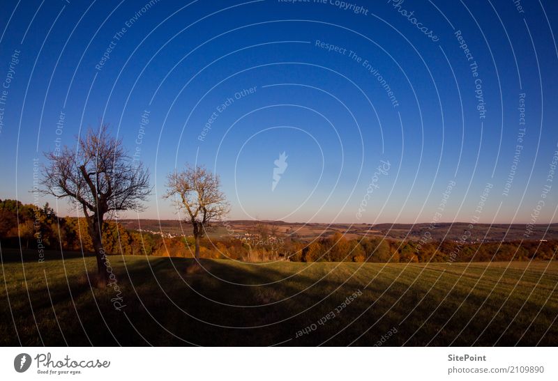 Herbstspaziergang Natur Landschaft Schönes Wetter Baum Feld Wald ruhig Sehnsucht Fernweh Einsamkeit Farbfoto Gedeckte Farben Außenaufnahme Tag Totale