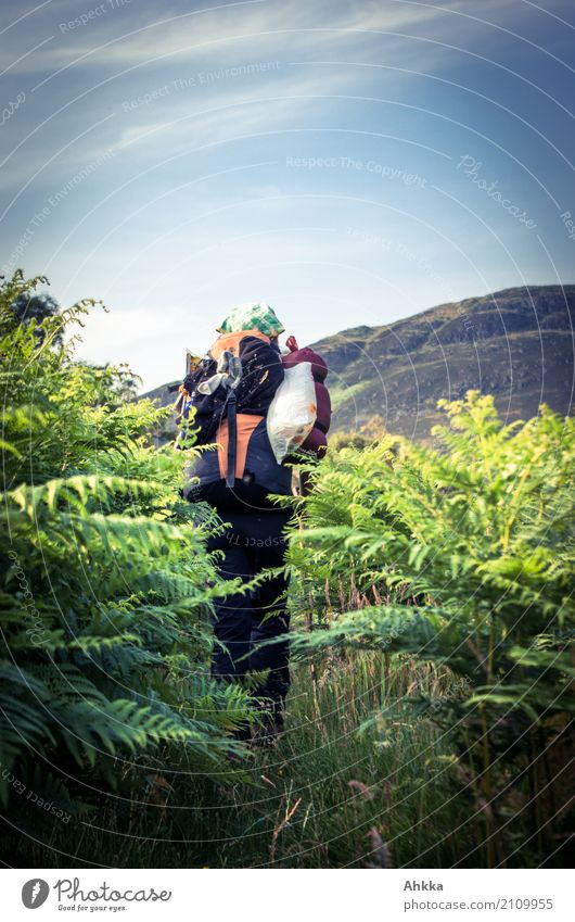 Rückansicht, Junge Frau mit Wanderrucksack im grünen Blätterwald Ferien & Urlaub & Reisen Ausflug Abenteuer Ferne Jugendliche Natur Farn Rucksackurlaub Neugier