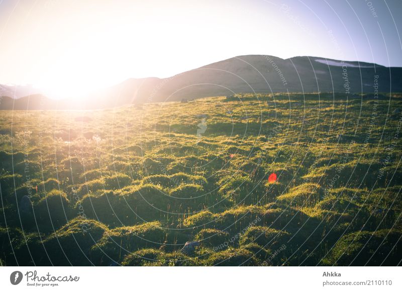 Durststrecke Abenteuer Ferne Freiheit Landschaft Himmel Sonnenaufgang Sonnenuntergang Moor Sumpf Torfmoor Fjäll Schweden trist wild Stimmung Traurigkeit Sorge