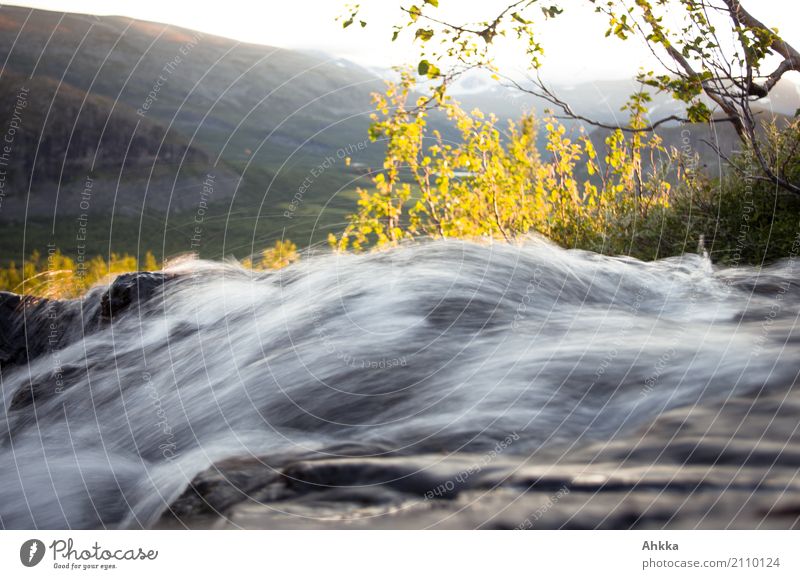 Bergbach im Gegenlicht, Langzeitaufnahme, Schweden, Rappadalen Umwelt Natur Landschaft Urelemente Wasser Baum Berge u. Gebirge Fluss Wasserfall Bewegung Energie