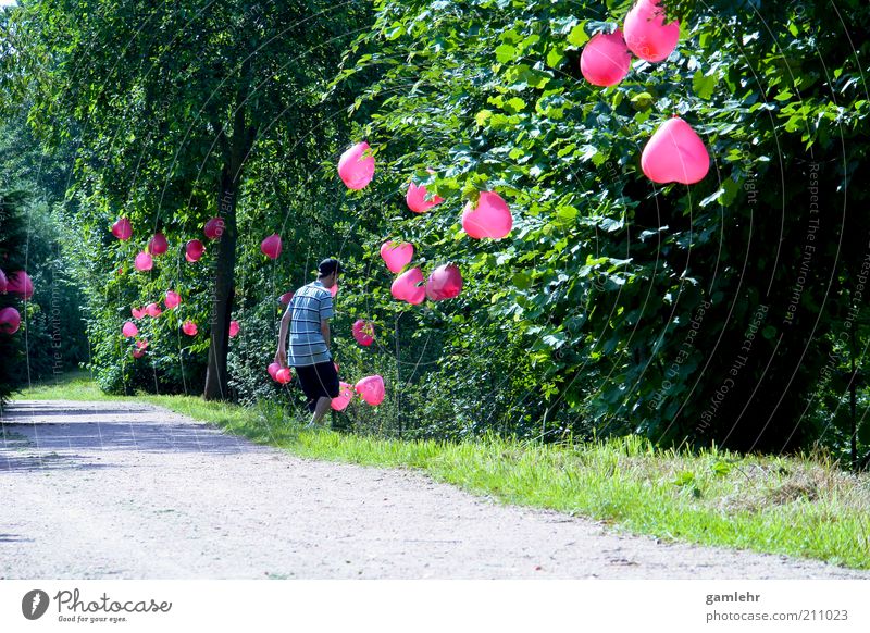 Hochzeitsweg Glück Feste & Feiern Valentinstag Muttertag Umwelt Landschaft Pflanze Park Herz Kitsch Fröhlichkeit Verliebtheit Gefühle Leidenschaft Liebe