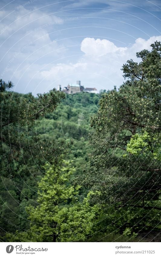 Wartburg ruhig Ferien & Urlaub & Reisen Ausflug Ferne Freiheit Sightseeing Berge u. Gebirge Umwelt Natur Landschaft Himmel Sommer Baum Wald Idylle Leben