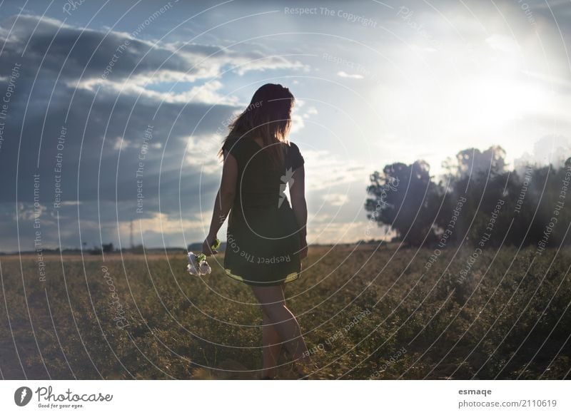 Mädchen auf dem Gebiet mit Sonnenuntergang Allergie Frau Erwachsene Natur Landschaft Wolkenloser Himmel Blume Rose Garten Diät natürlich Fröhlichkeit Akzeptanz