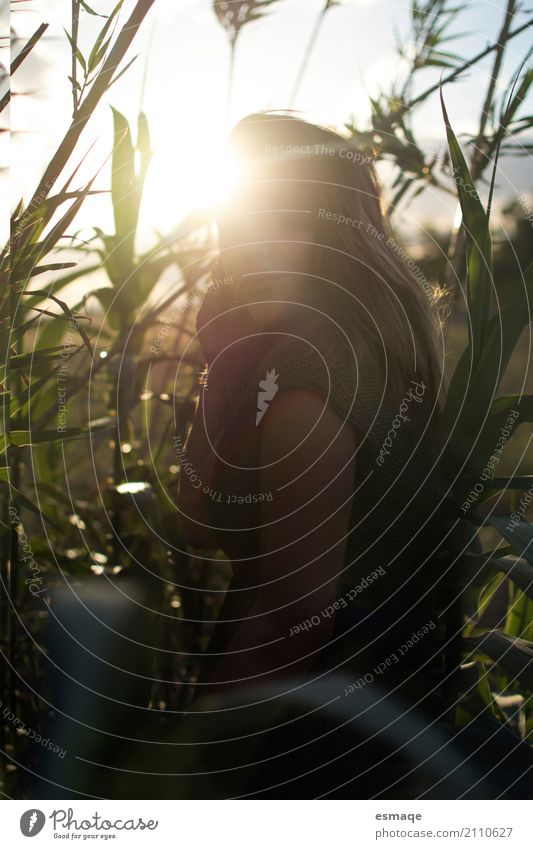 Mädchen unter großen Pflanzen mit Sonnenuntergang exotisch Gesunde Ernährung Wellness Mensch Frau Erwachsene Diät Duft leuchten Glück natürlich Neugier positiv