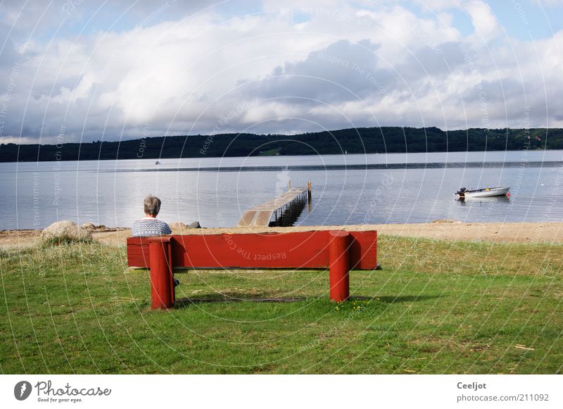 Weitblick Wohlgefühl Zufriedenheit Erholung Ferne Freiheit Sommer Sonne Strand Ruhestand Natur Landschaft Wasser Himmel Frühling Schönes Wetter Küste Seeufer