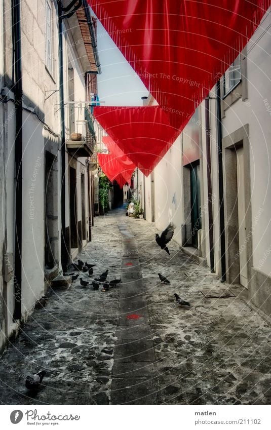 travessa Kleinstadt Taube Schwarm Stein rot schwarz weiß Stimmung Gasse Wege & Pfade Haus Zentralperspektive Menschenleer Dekoration & Verzierung Dreieck