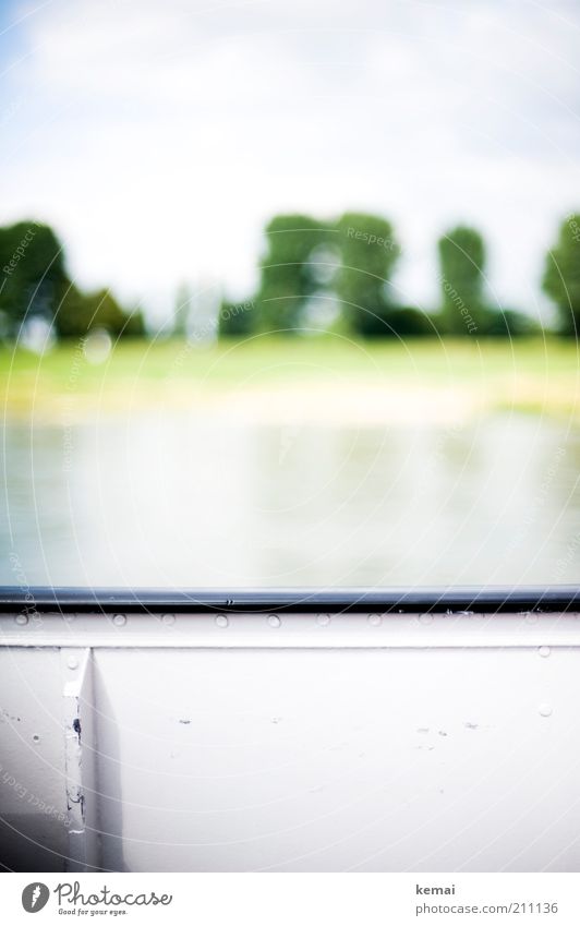 Die Überfahrt Umwelt Natur Landschaft Pflanze Wasser Sonnenlicht Sommer Schönes Wetter Wärme Baum Grünpflanze Flussufer Rhein Schifffahrt Binnenschifffahrt