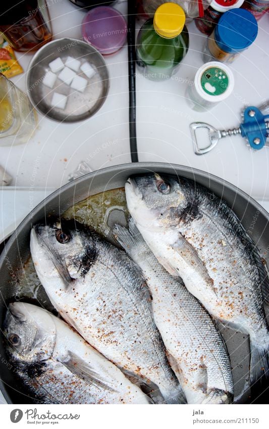 campingküche Lebensmittel Fisch Kräuter & Gewürze Öl Ernährung Mittagessen Bioprodukte Pfanne frisch gut lecker kochen & garen Farbfoto Außenaufnahme