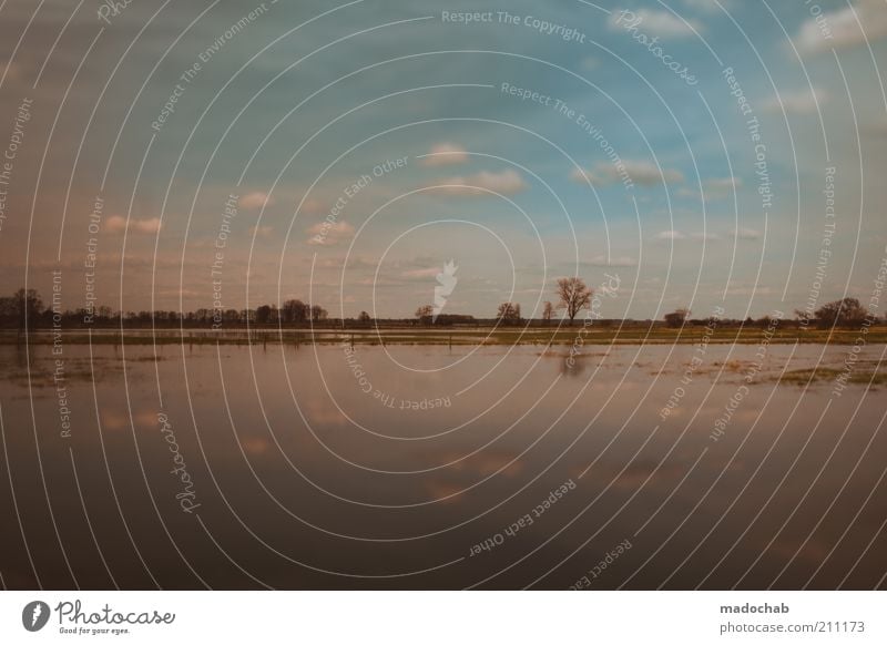 Käptn Fettauge sticht wieder in See Natur Landschaft Pflanze Wasser Klima Moor Sumpf Teich Flüssigkeit Überschwemmung Himmel Wolken Farbfoto Gedeckte Farben