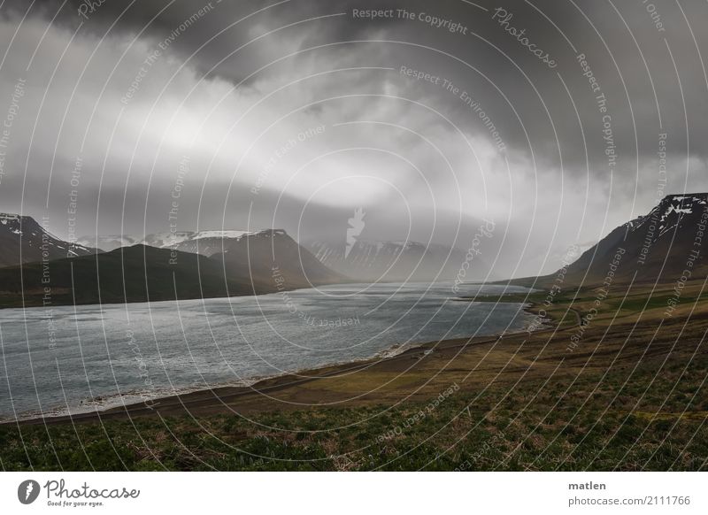 am Fjord Landschaft Wasser nur Himmel Wolken Horizont Frühling schlechtes Wetter Sturm Regen Gras Moos Wiese Felsen Schneebedeckte Gipfel Wellen Küste