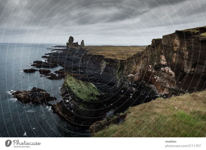 Snæfellsnes Natur Landschaft Pflanze Tier Himmel Wolken Horizont Frühling schlechtes Wetter Regen Gras Moos Felsen Küste Strand Meer bedrohlich dunkel