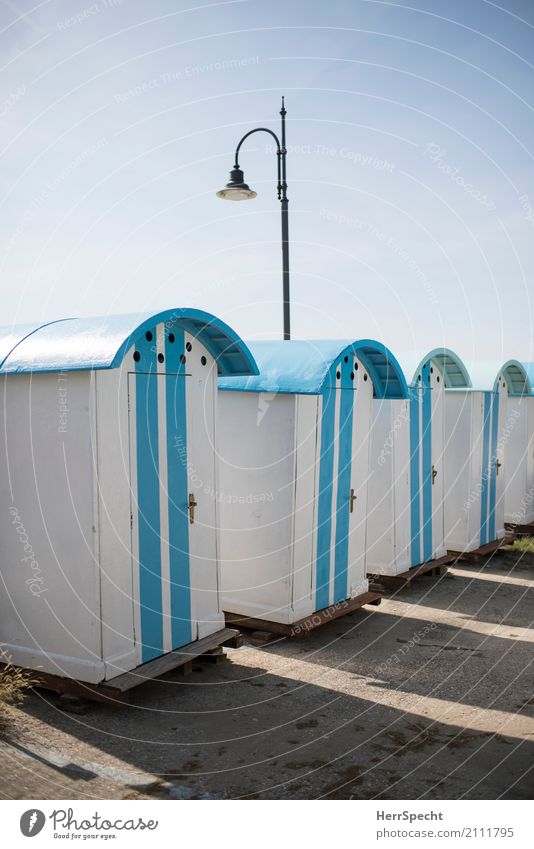 Reihenhaussiedlung Ferien & Urlaub & Reisen Sommer Sommerurlaub Strand Italien Gebäude klein maritim blau weiß standhaft Ordnungsliebe Reinlichkeit Sauberkeit