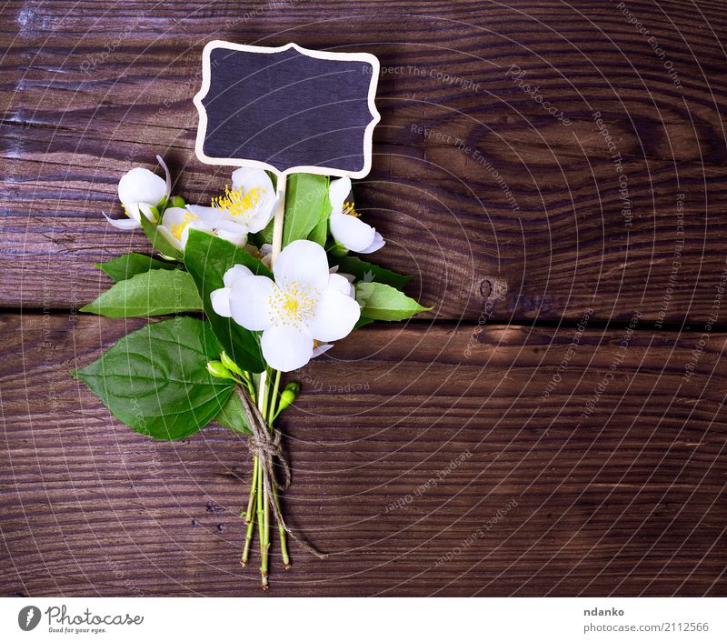 Bouquet von blühendem Jasmin schön Sommer Garten Natur Pflanze Blatt Blüte Blumenstrauß Holz Blühend frisch hell natürlich oben gelb grün weiß Farbe