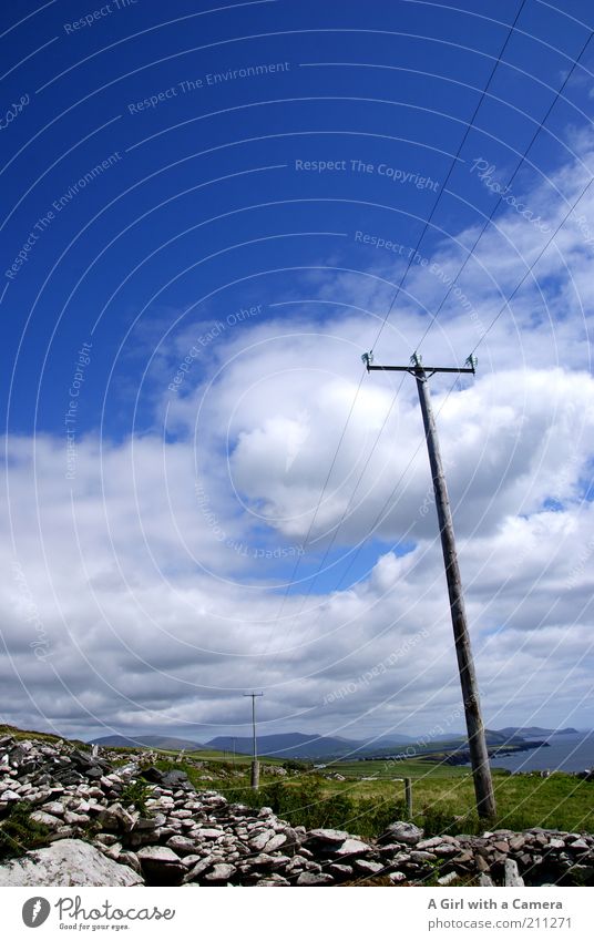 Telegraph Row Umwelt Natur Landschaft Himmel Wolken Sommer Schönes Wetter Gras Sträucher Feld Hügel Küste Meer Atlantik Steinmauer Menschenleer Strommast Kabel