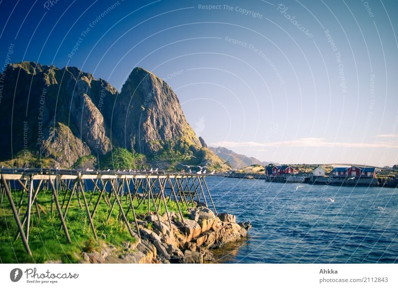 Trockenfischgerüst Ferien & Urlaub & Reisen Tourismus Sommerurlaub Sonne Umwelt Natur Landschaft Schönes Wetter Berge u. Gebirge Küste Fjord Meer Reine Lofoten