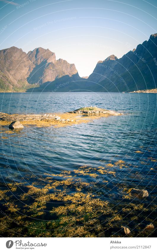 Nordmeer trifft Berg harmonisch Wohlgefühl Zufriedenheit Sinnesorgane Erholung ruhig Meditation Ferien & Urlaub & Reisen Tourismus Abenteuer Natur Landschaft