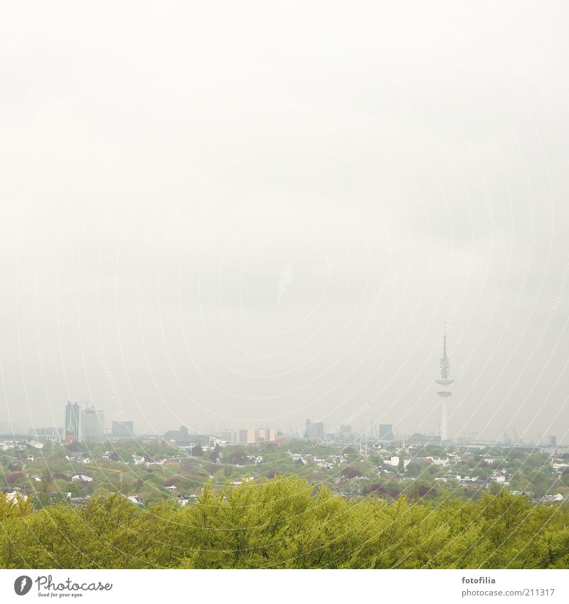 grau-grünes Hamburg Landschaft schlechtes Wetter Nebel Baum Stadt Hauptstadt Skyline Hochhaus Park Turm Sehenswürdigkeit entdecken groß hoch Fernsehturm