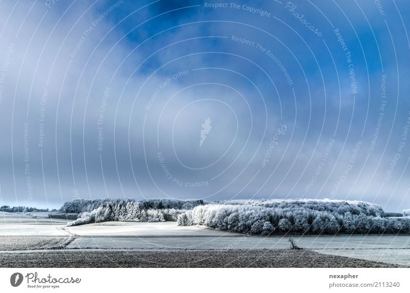 Winter Landschaft / Winter landscape Ausflug Ferne Freiheit Umwelt Natur Pflanze Wolken Baum Wald Erholung wandern authentisch frei frisch kalt natürlich blau