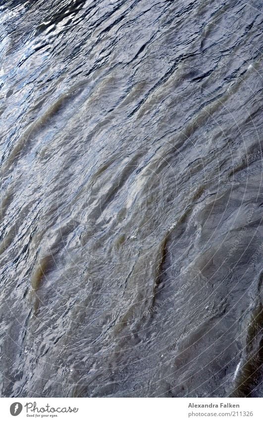 Isarhoch Umwelt Natur Urelemente Wasser Klima Klimawandel Unwetter kalt fließen Flut fluten Hochwasser Fluss Wellen Strömung Farbfoto Gedeckte Farben