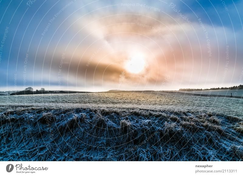 Wolken-Sonne mit Winterlandschaft Lifestyle Tourismus Ausflug Ferne Freiheit Umwelt Natur Himmel Sonnenaufgang Sonnenuntergang Sonnenlicht Schönes Wetter Gras